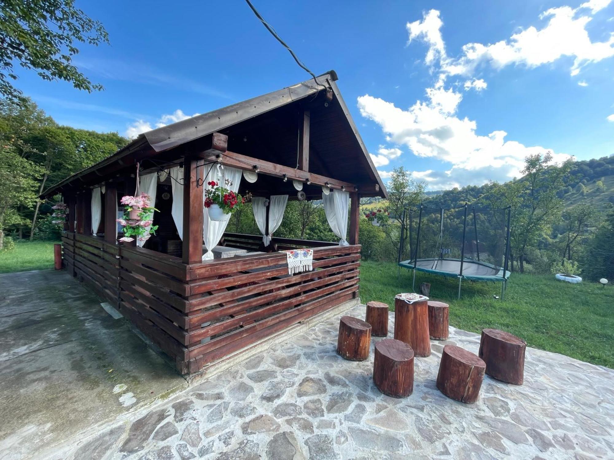 Pensiunea Nituca Мойсей Экстерьер фото